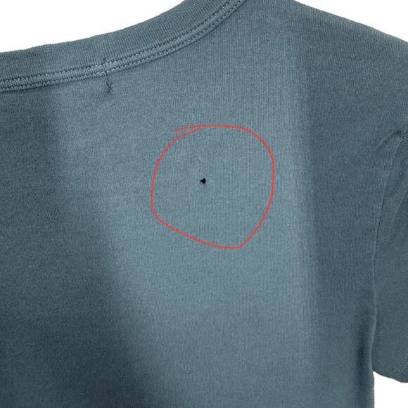 Daydreamer Love Stings Shrunken Tee Small Black Scorpion Graphic Retro Boho New - Picture 5 of 7